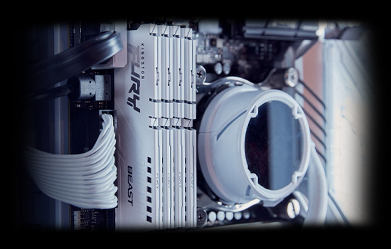 Z590
